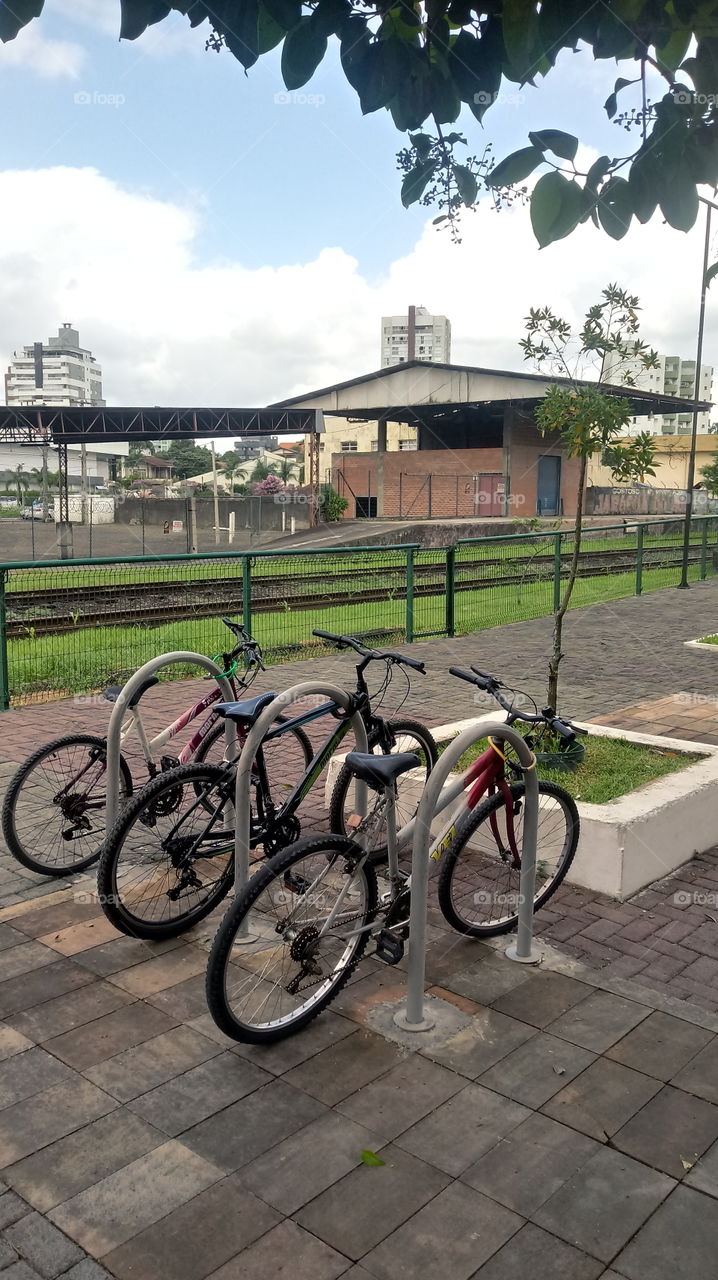 IMAGE, BICYCLE BICYCLE 🚲 🚲