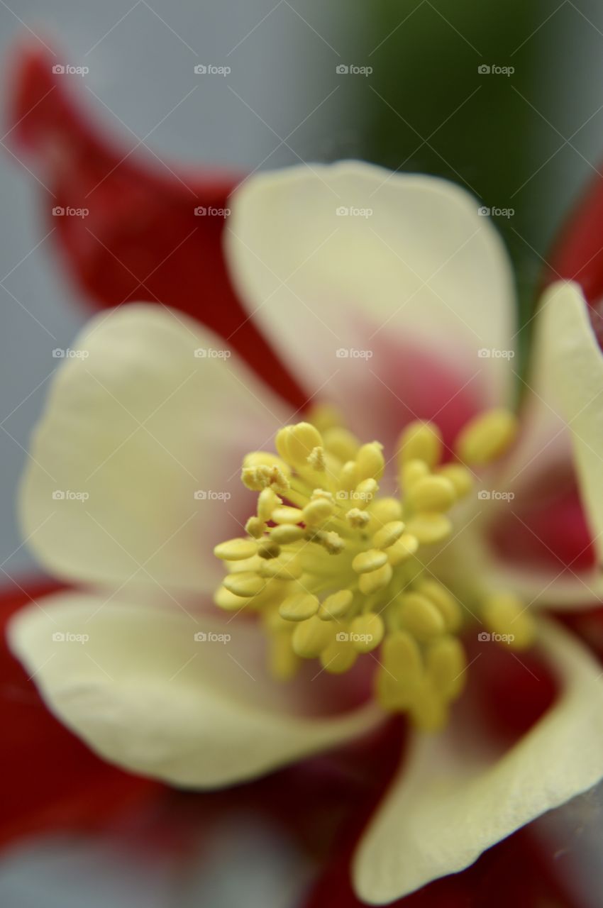 Summer is the most beautiful time of the year