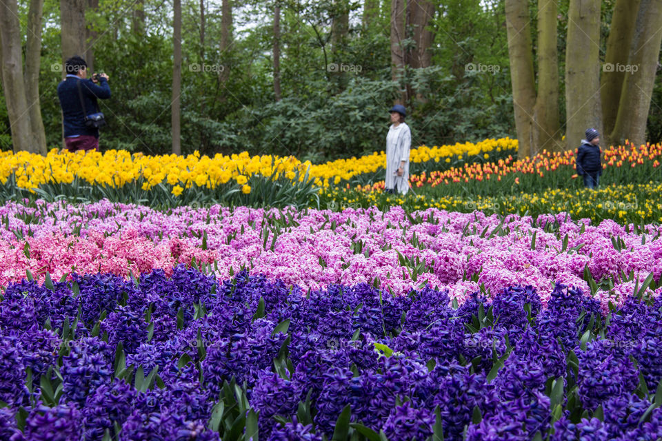 Posing in the flower fields 