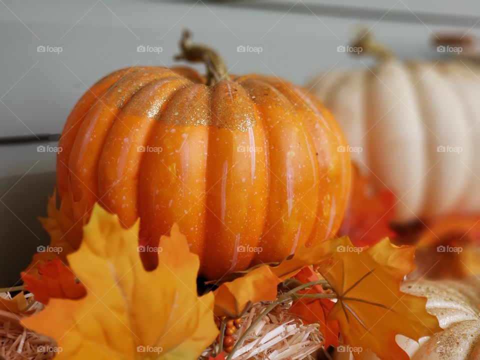 Orange Pumkin Fall Scene