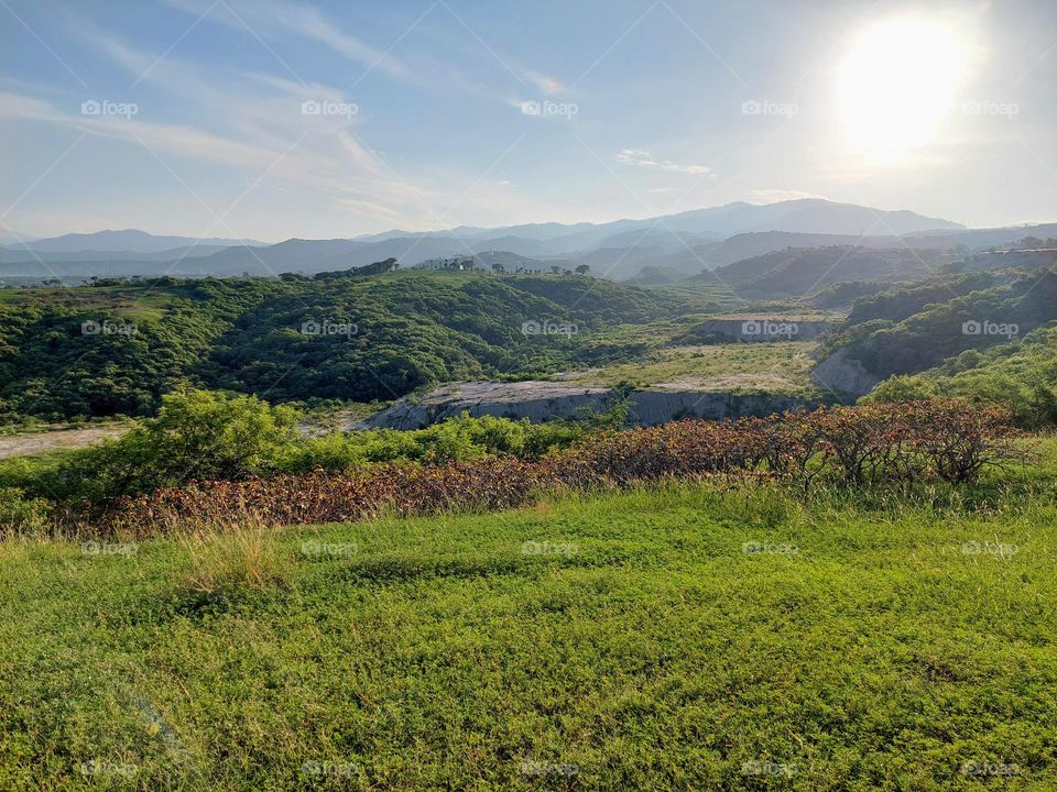 Gardens in the mountains