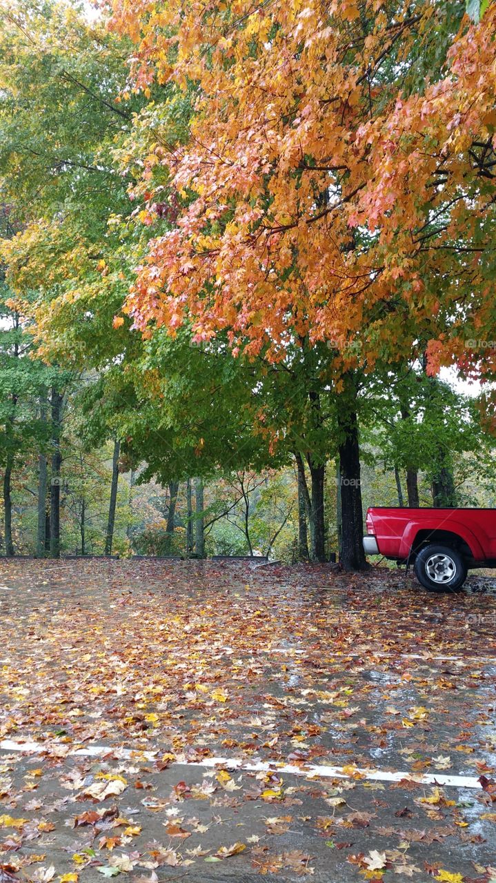 fall. the fall is here