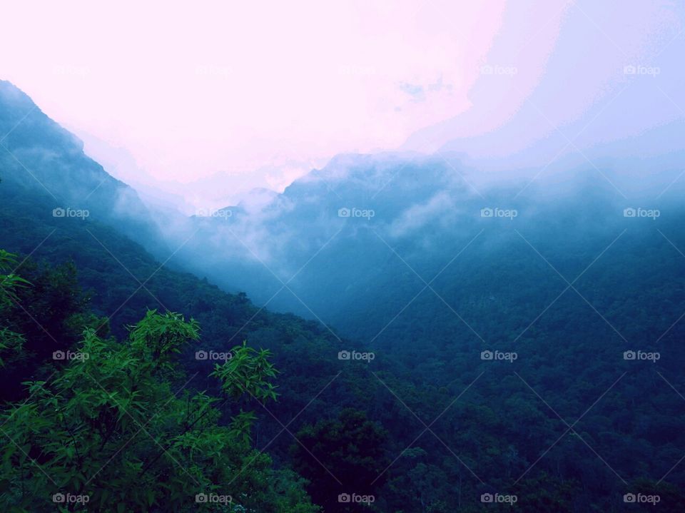 It's was a beautiful morning clouds touching the mountains and mist  membracing the forest