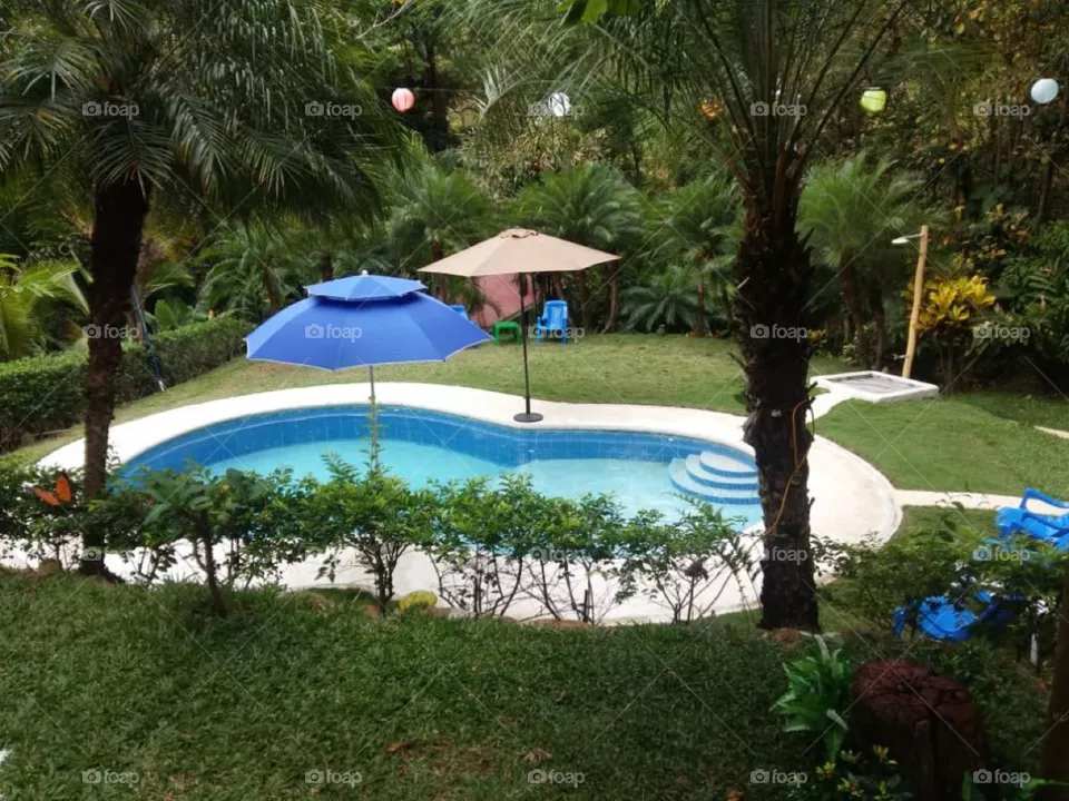 Beautiful Pool in Costa Rica