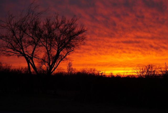 Setting sun sets the sky ablaze