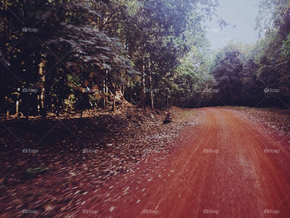 Red dirt road in the jungle😄