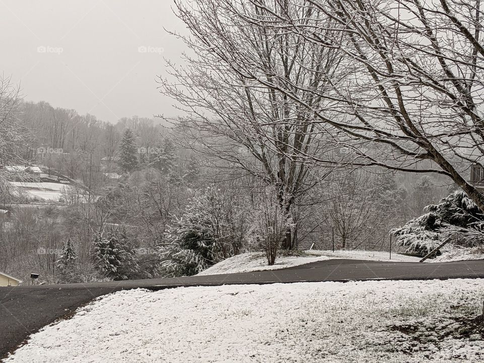 WNC Snow