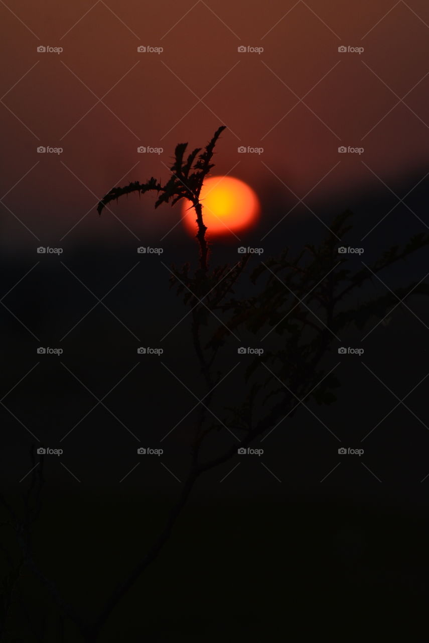 #sunset simple shot #punished&copyright @Meheruzzaman
