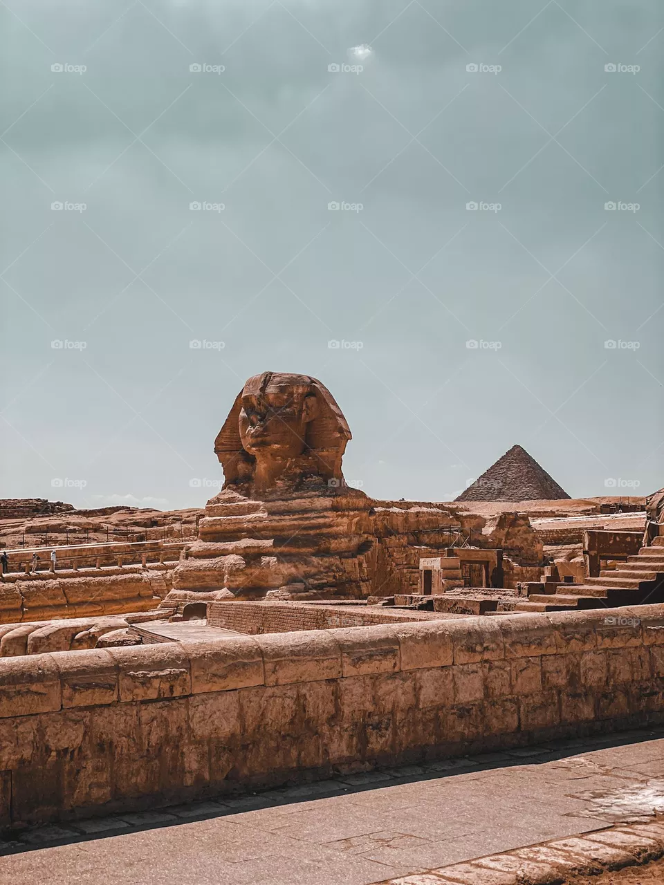 مصر