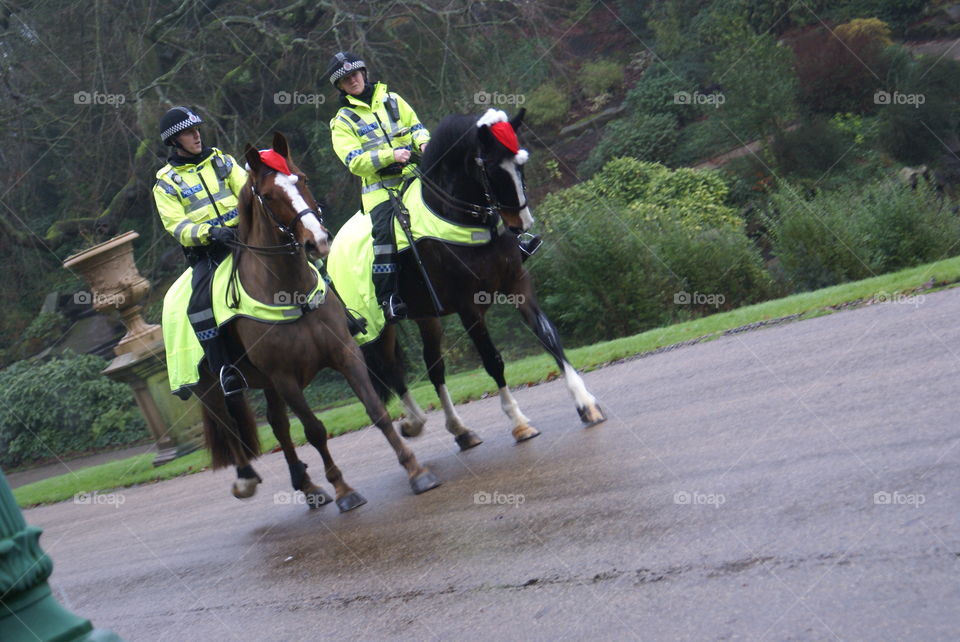 Policemen on a horse