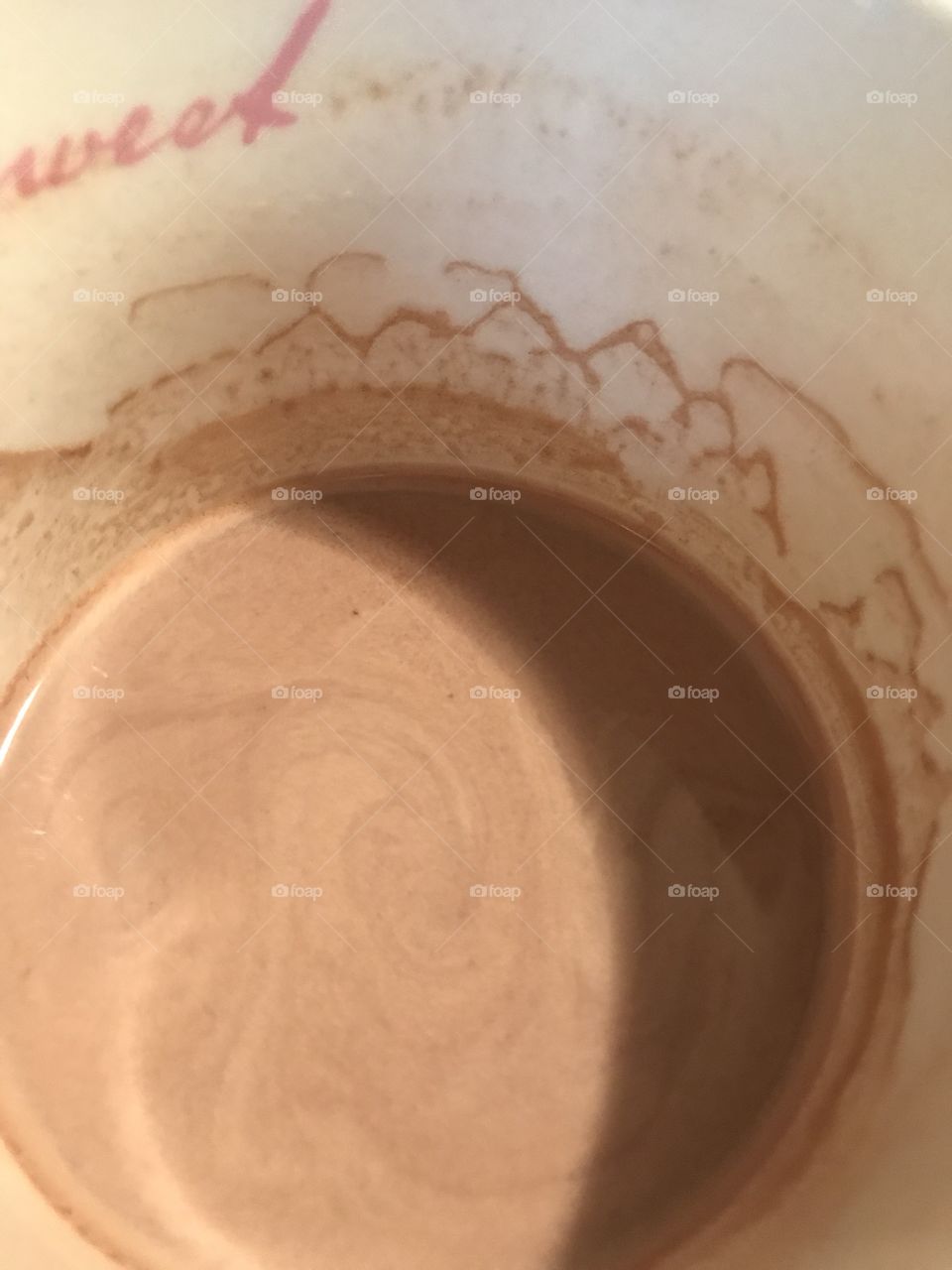 Forest in the chocolate cup