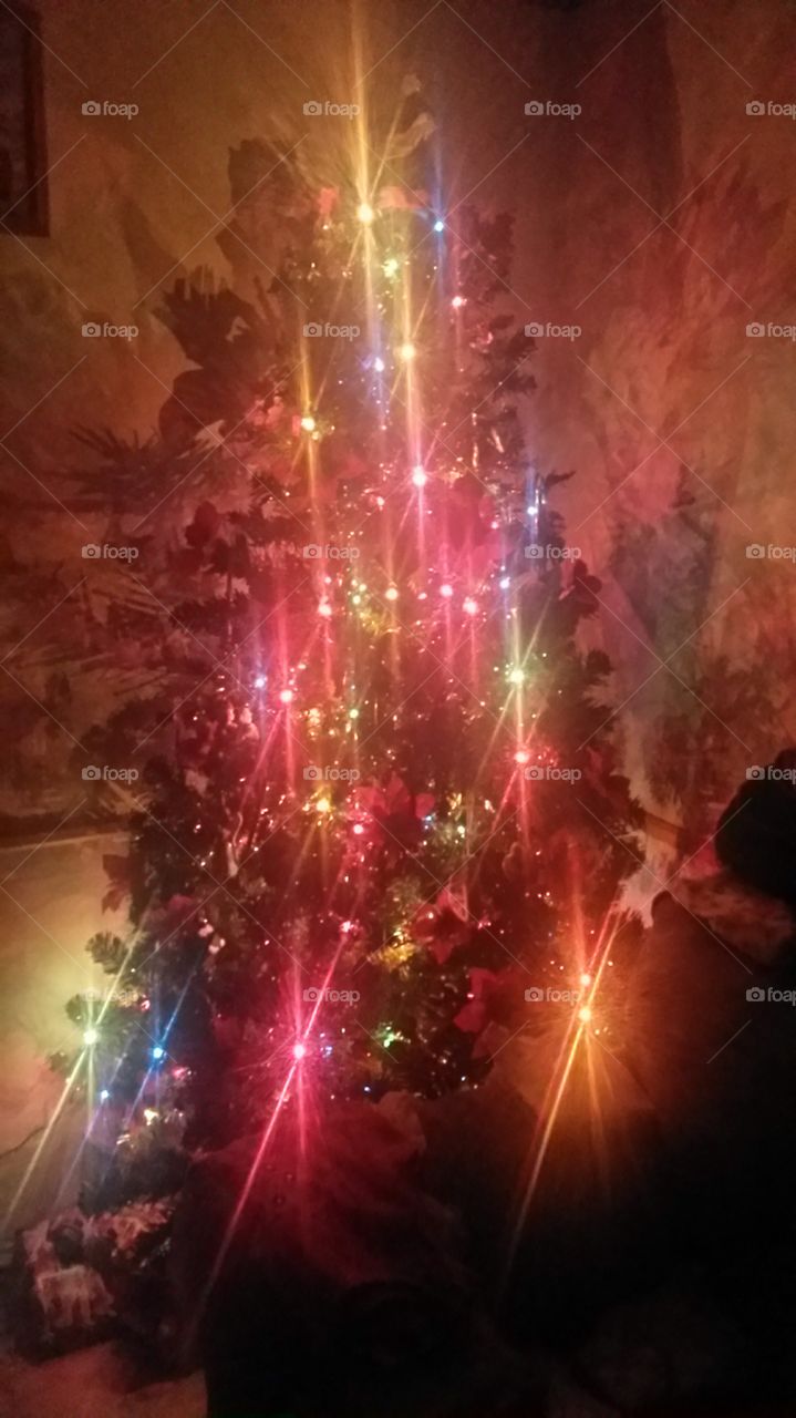 Christmas tree in the dark