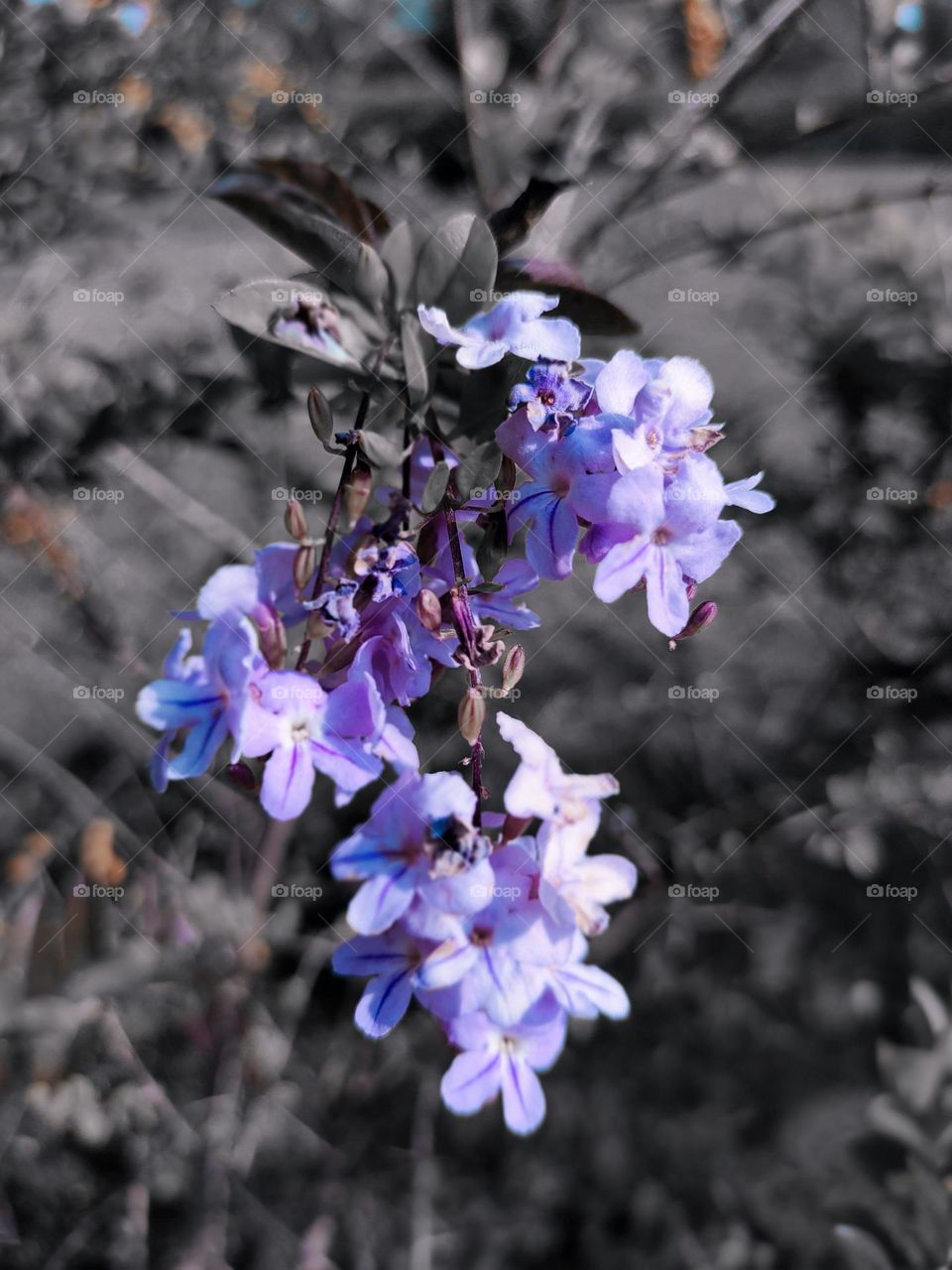 You have to prove yourself