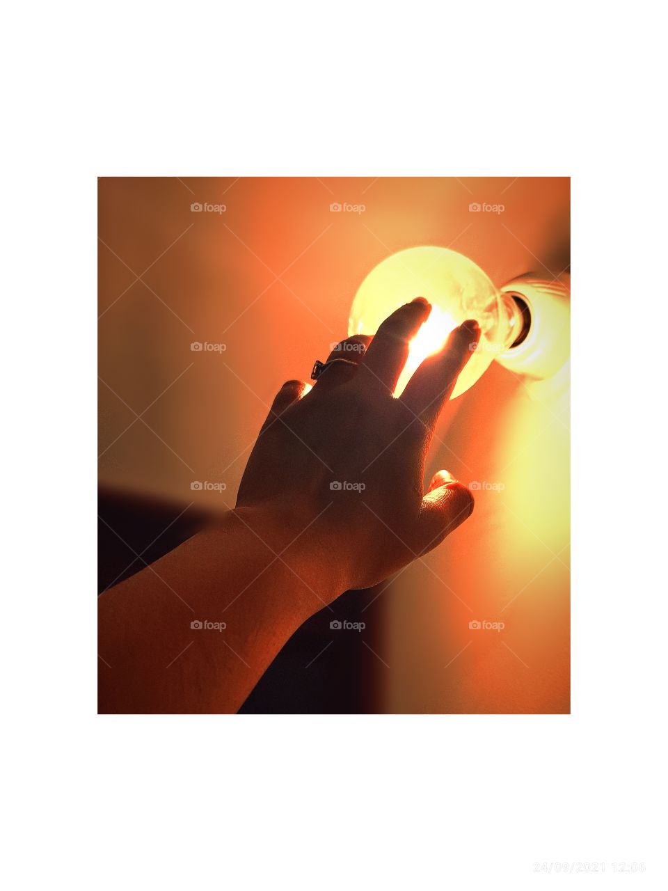 #ImPoRtAnCe_Of_LiGhT_In_LiFe💡