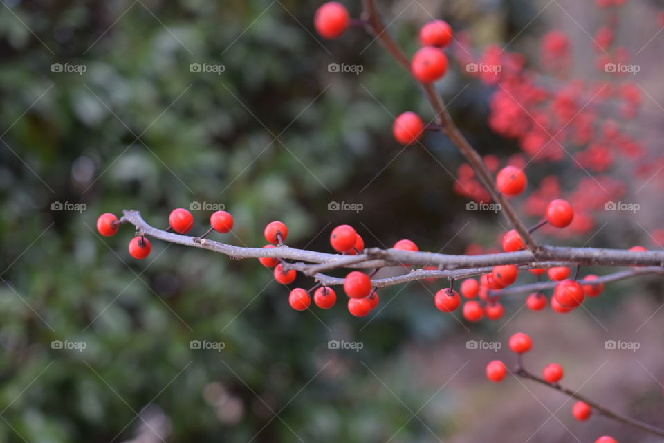 Looks like winter but feels like Spring