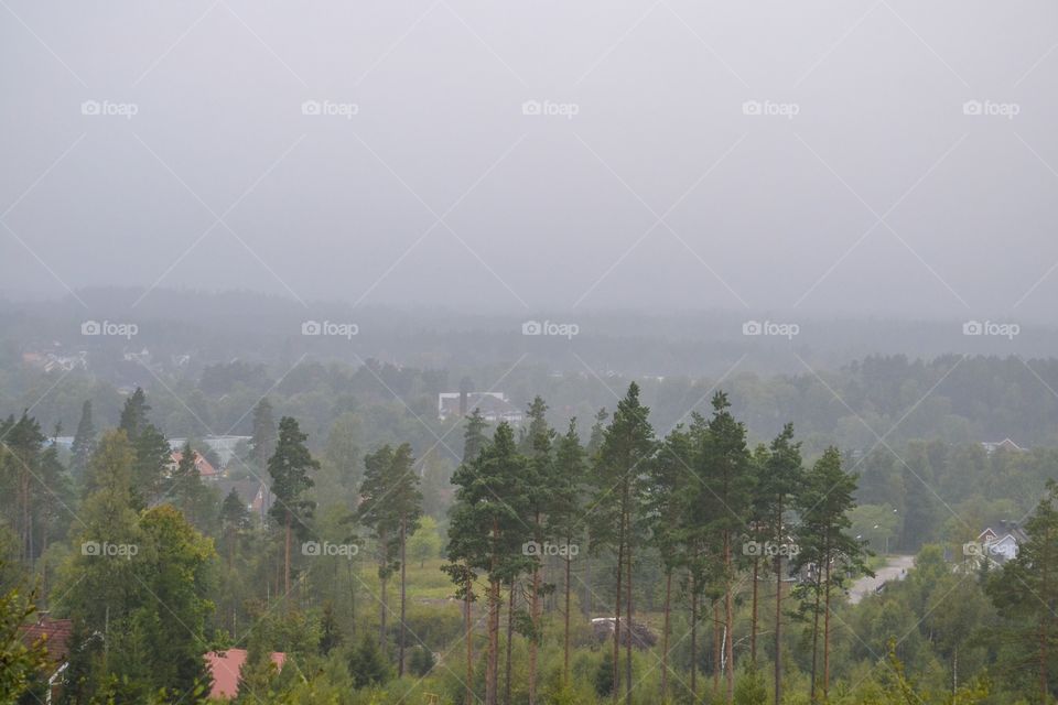 Foggy morning, view over a small village