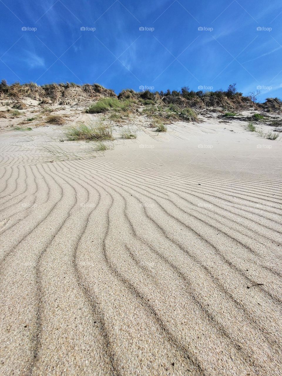 The beach and it's  beautiful dunes in Burgh Haamstede in the Netherlands