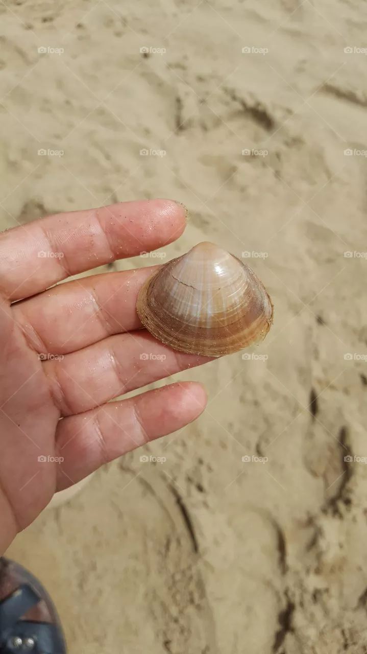 sand