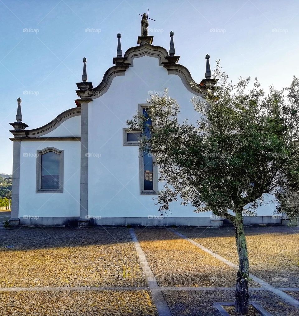 Church and olive tree, Marco de Canaveses, Portugal
