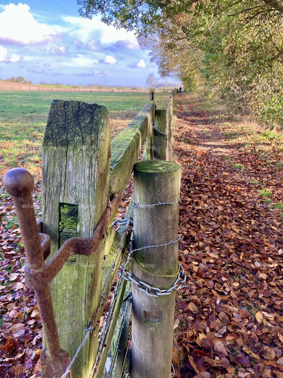 Crisp Autumnal day🍁🍃 🍂