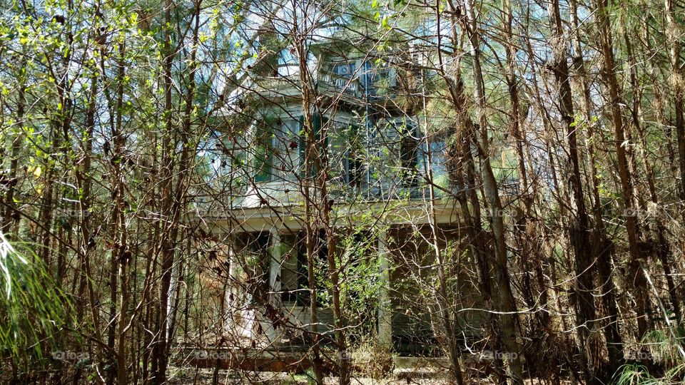 abandoned mansion in the woods