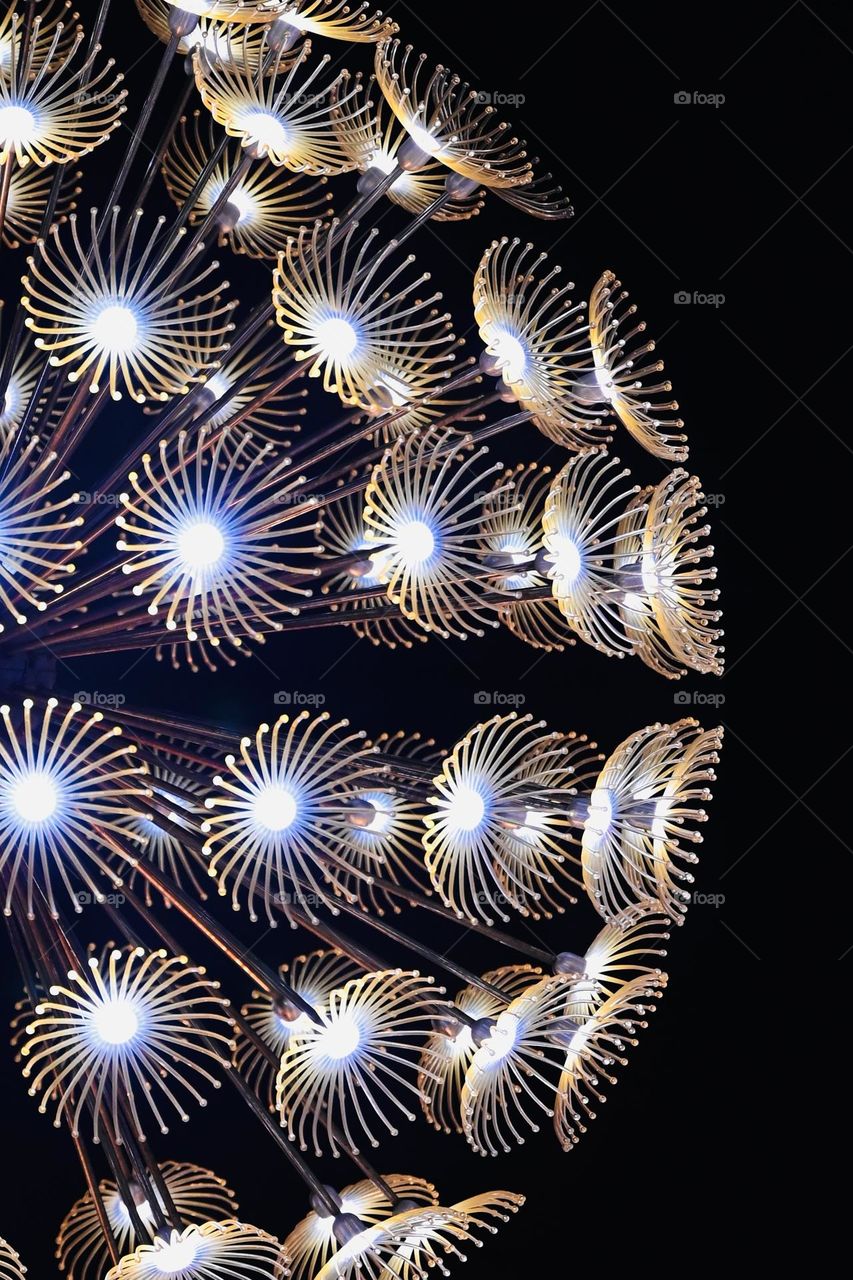 Flower Lights Wallpaper 