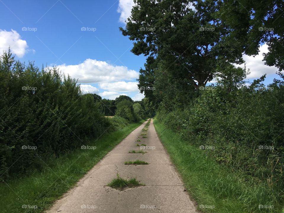 The Reel in Dellstedt