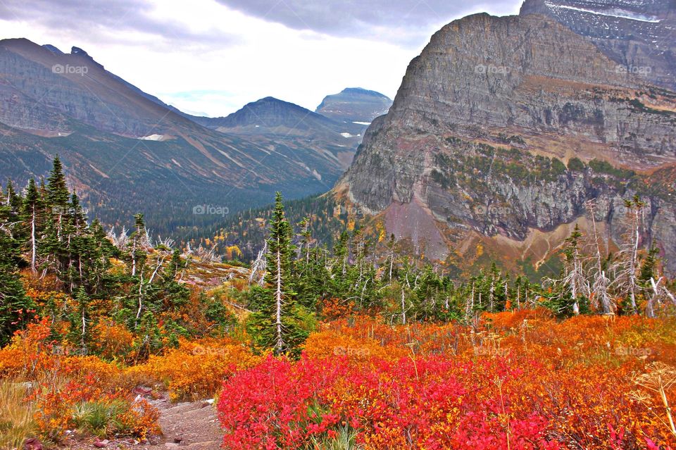 Autumn colors in the nature 