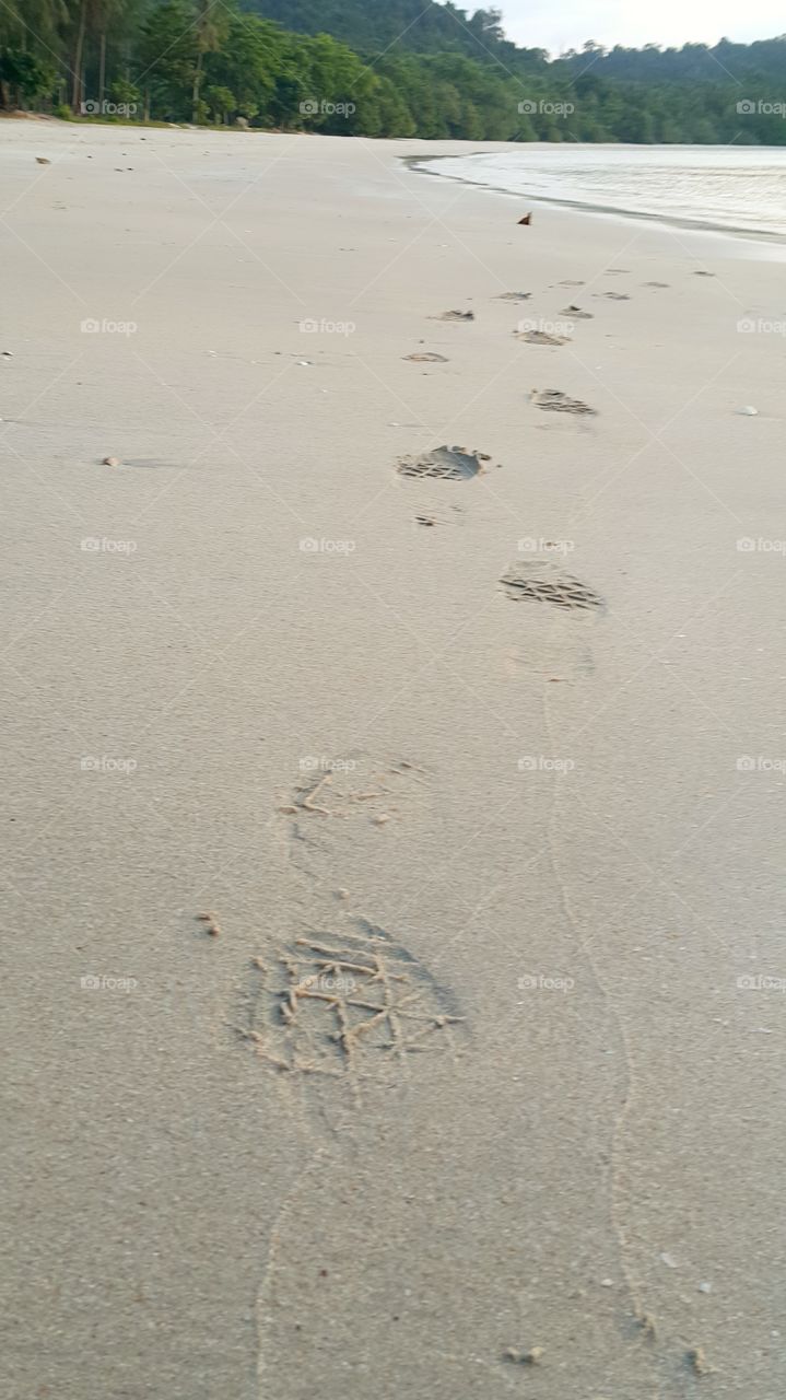 We will leave only the footprints, travel