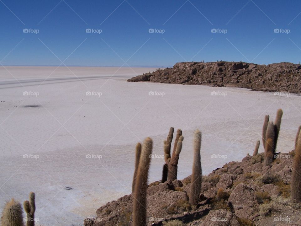 Uyuni salt flat land (Bolivia).