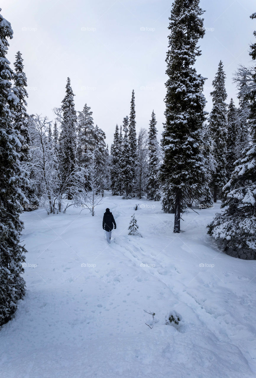 Winter walk