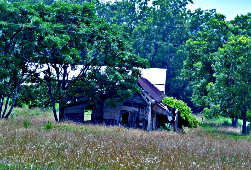 old barn