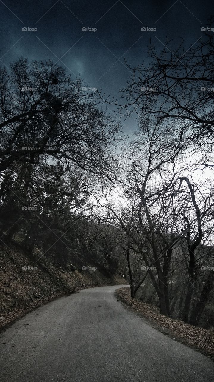 Oak Glenn California Lonesome Raods