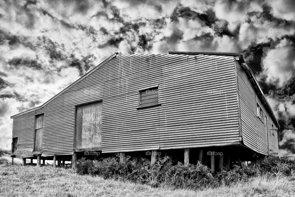 Abandoned Shearing Shed