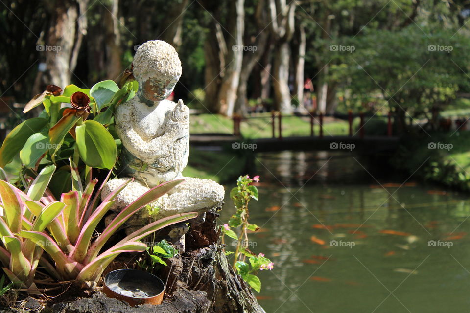 Boy and Fish by the Pond