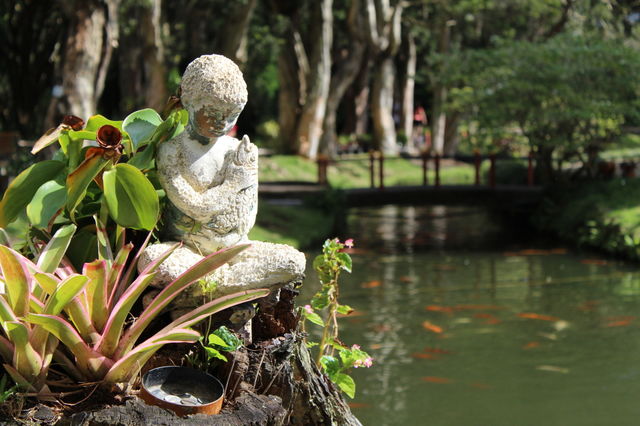 Boy and Fish by the Pond