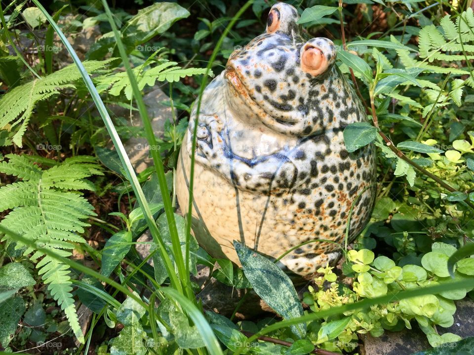 Lawn toad statue in grass.
