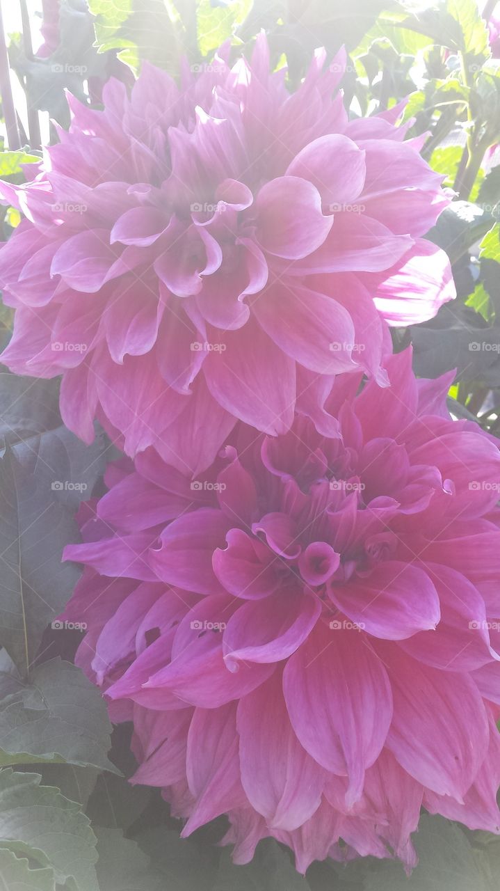 Beautifully designed