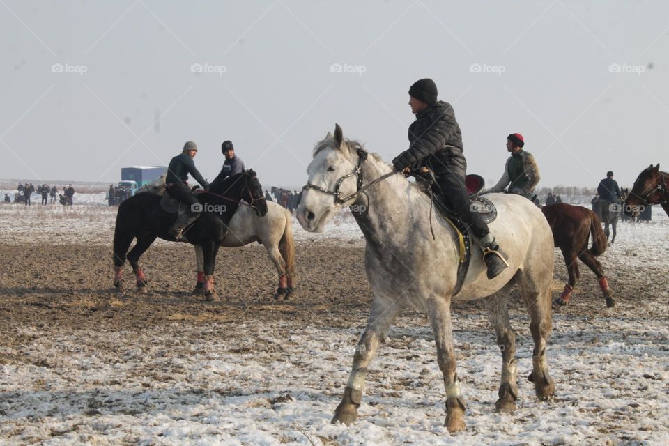 rider on a white horse. several horses in the frame and riders.