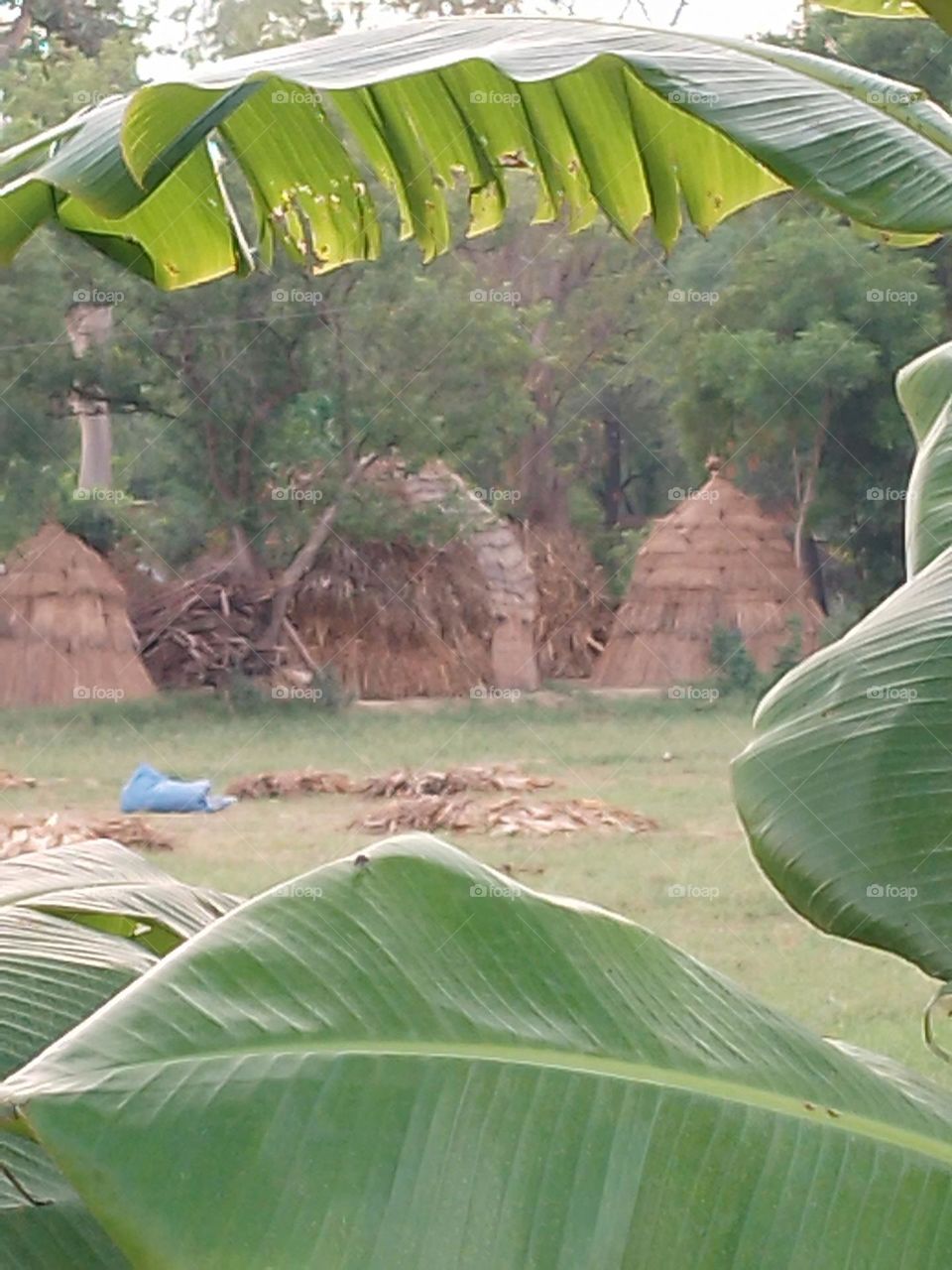 Store houses built to store wheat straw in rural areas of North India.