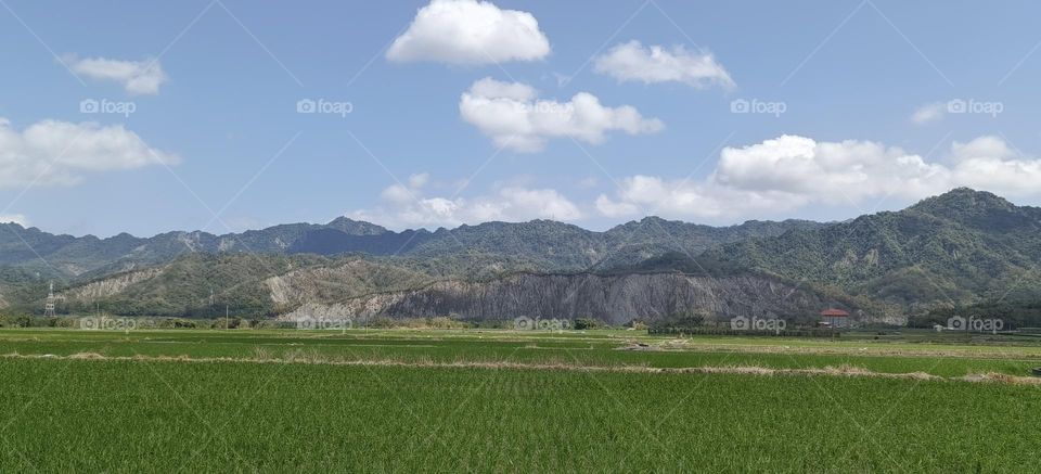 Moon World and Rice Fields