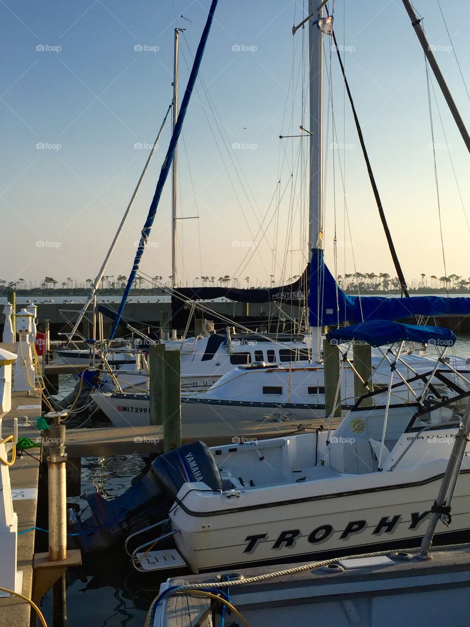 Boats in Harbor