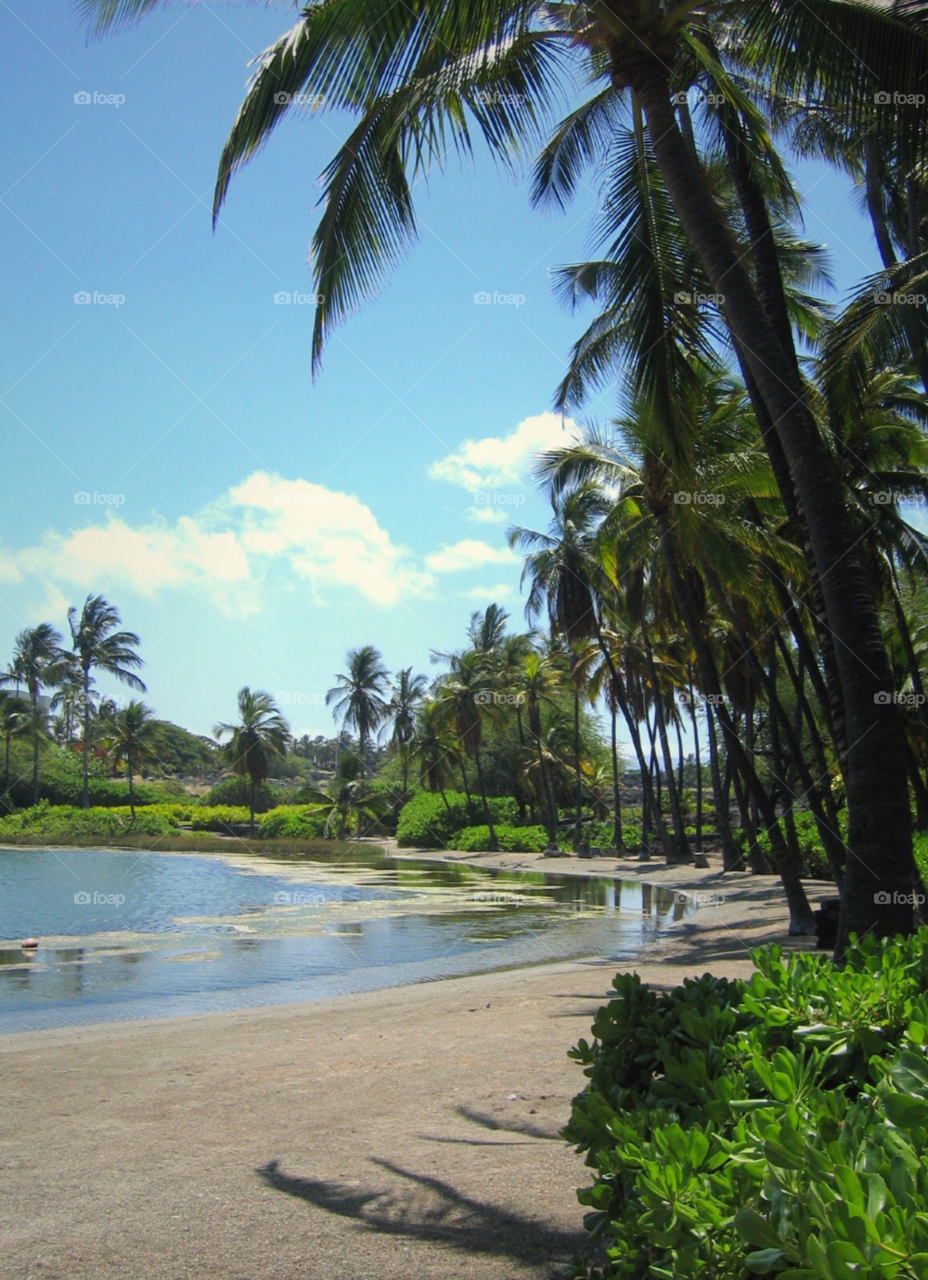 hawaii clouds palm trees lagoon by stevehardley7