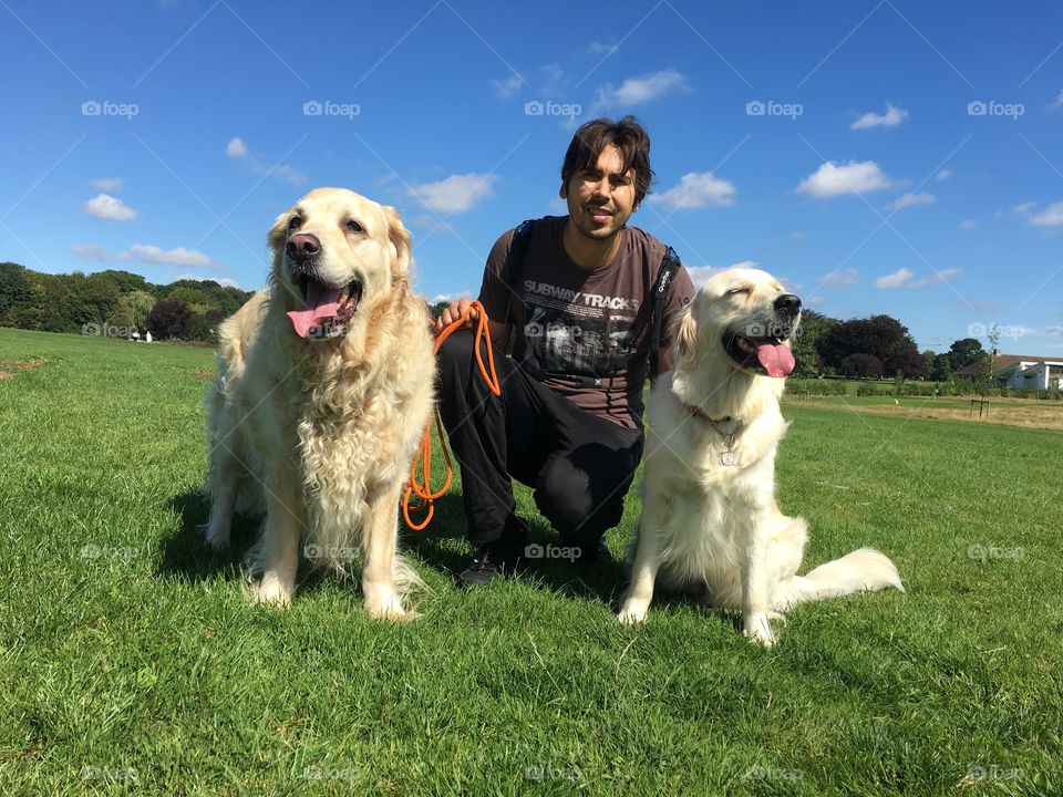 Dog, Pet, Canine, Grass, Mammal