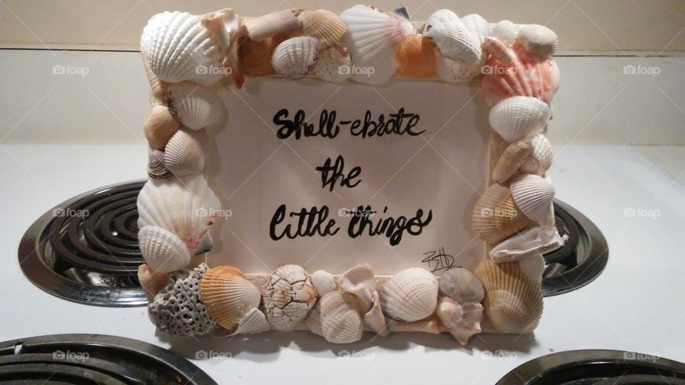 shell-ebrate the little things