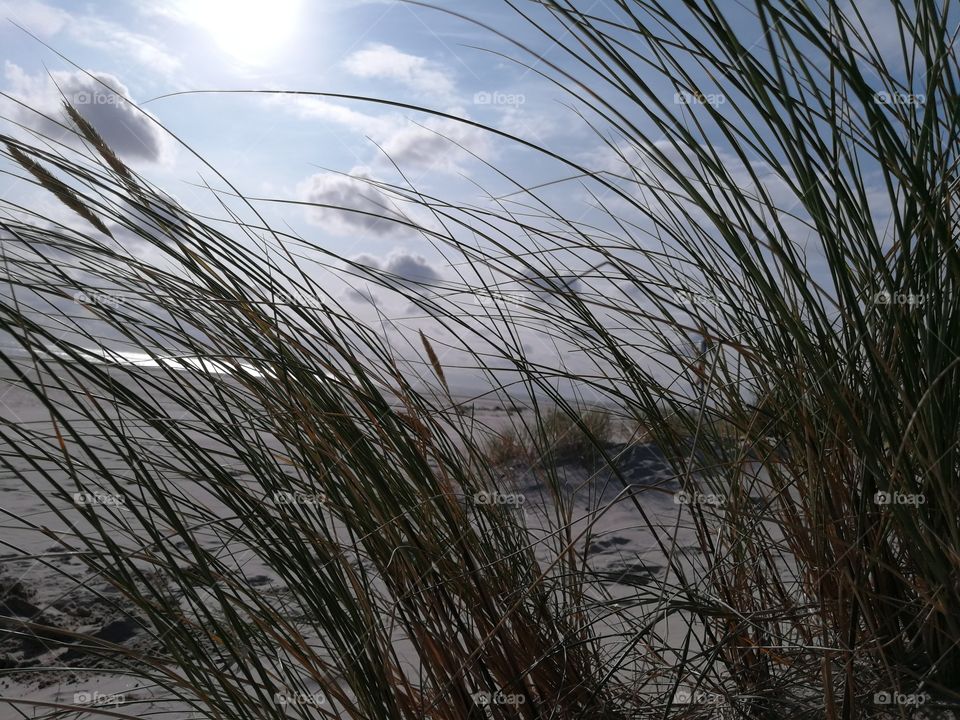 North Sea Beach