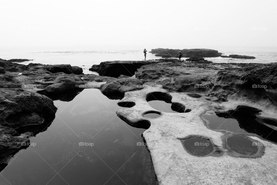 Low tide on a rocky beach with lots of potholes full with living ocean creatures 