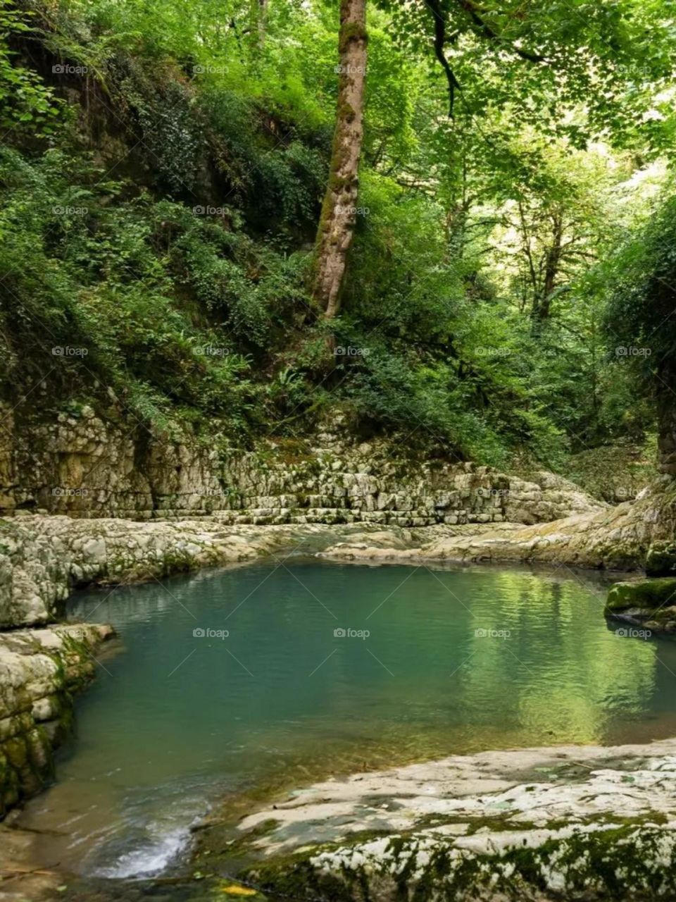 This beautiful lake located in the heart of the forest has its beauty in every season, but I love the green spring, I love painting and photography here. The sound of birds, great air and beautiful nature is nothing like heaven