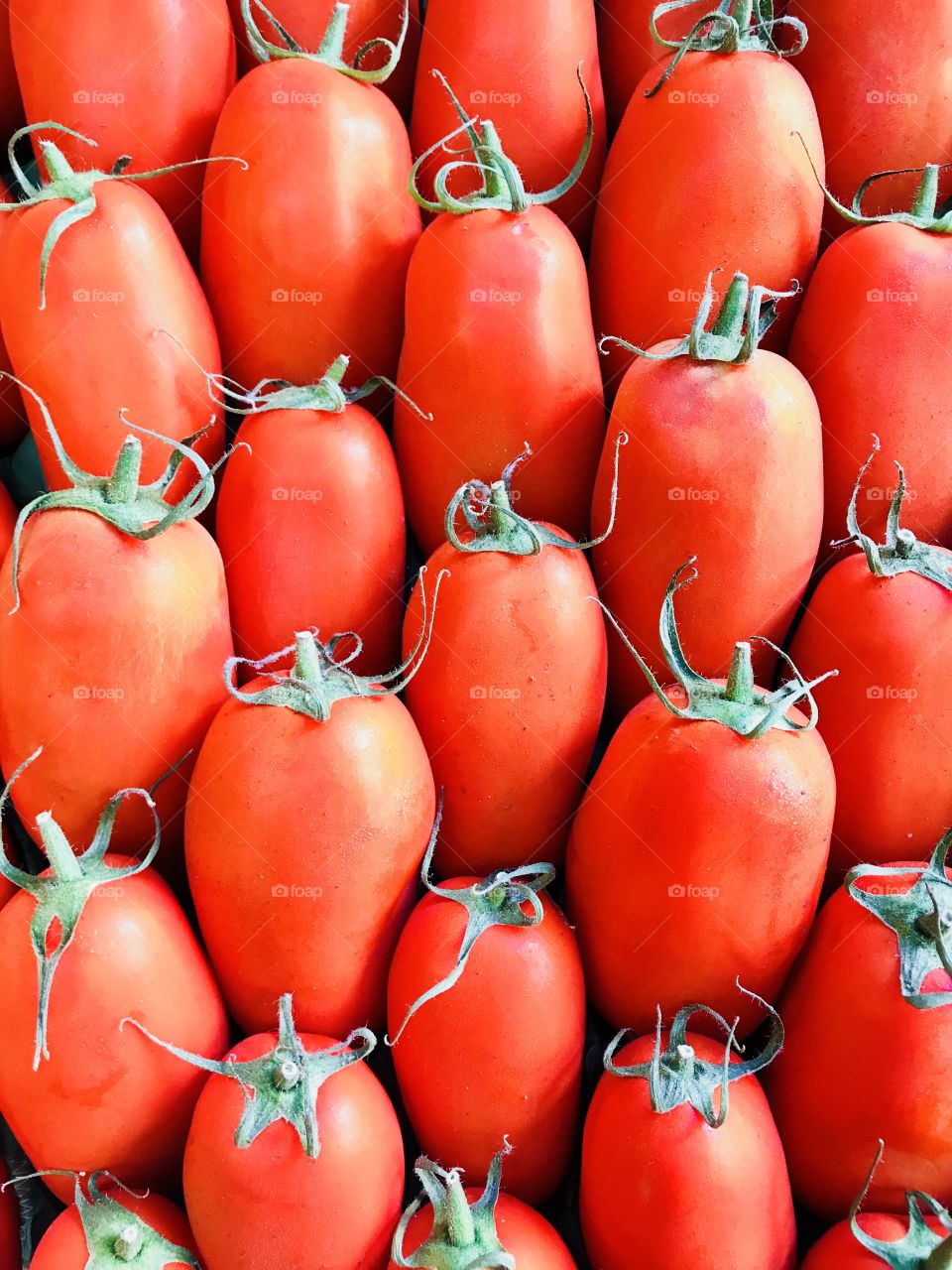 Tomate red background summer food detox