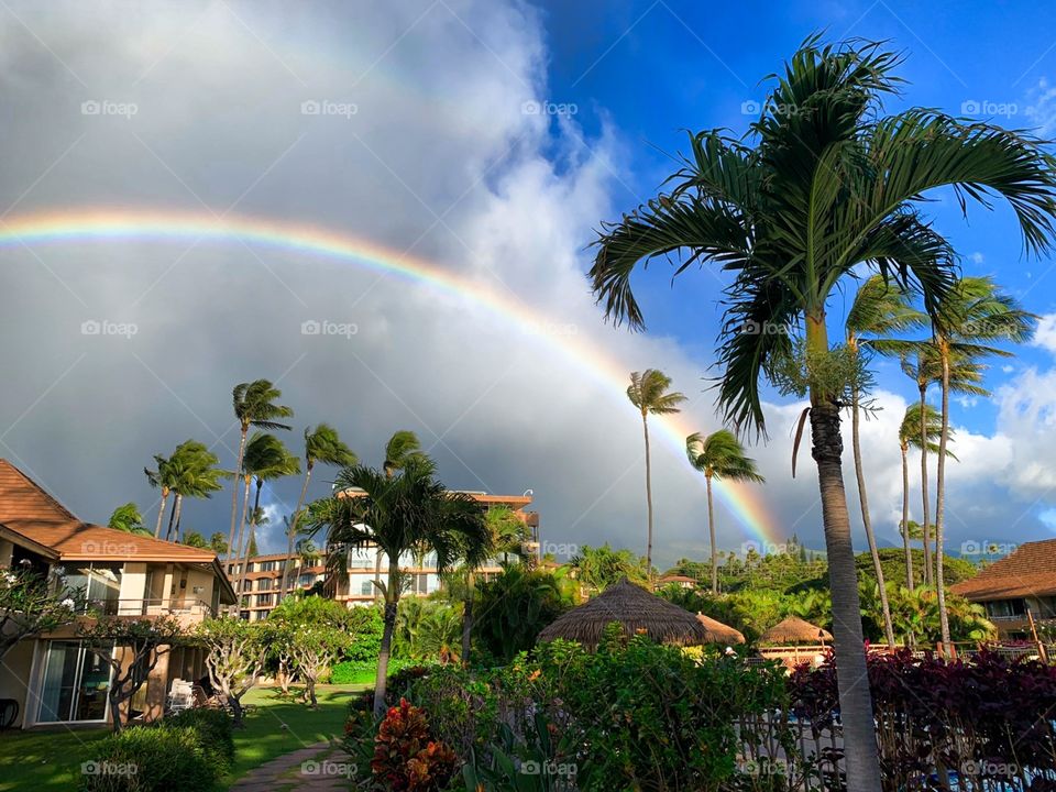Hawaiian Rainbow 